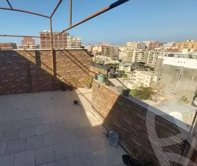 https://aqarmap.com.eg/ar/listing/4751565-for-sale-alexandria-l-jmy-lbytsh-street-5-st