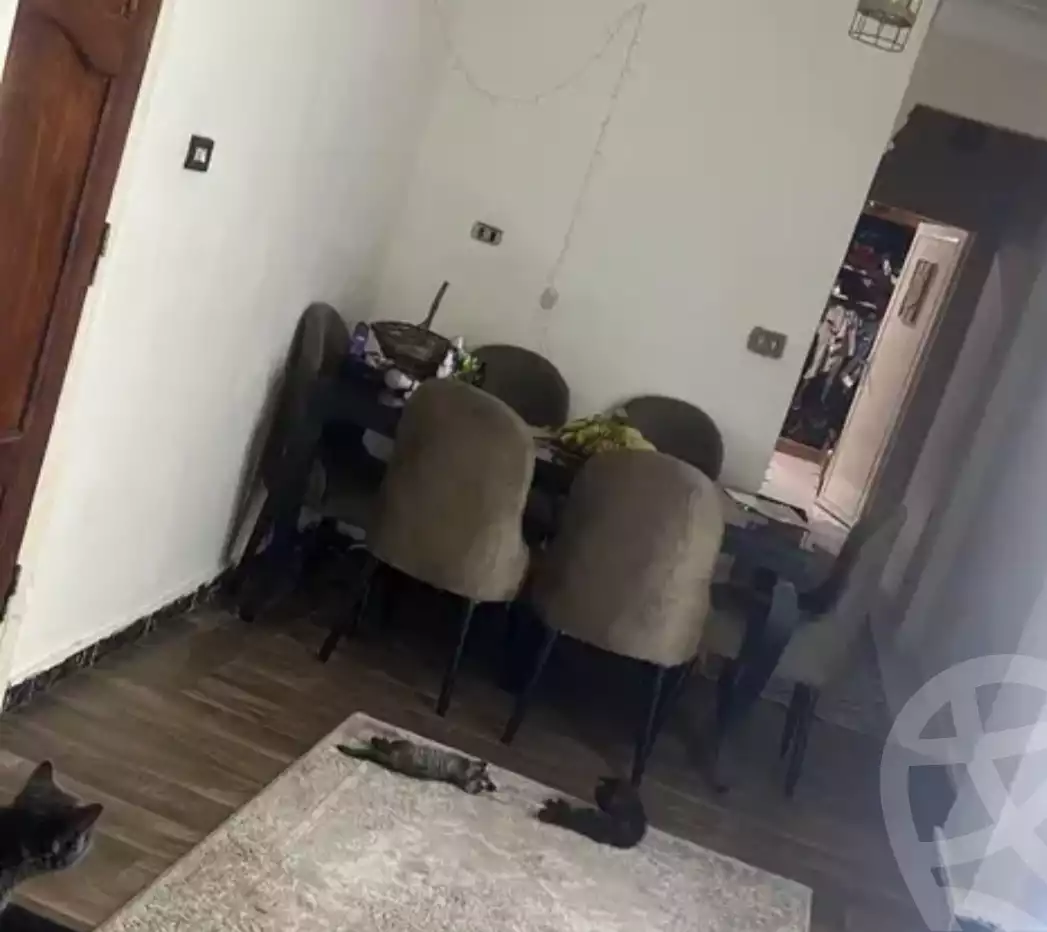 https://aqarmap.com.eg/ar/listing/4777990-for-sale-alexandria-fyktwry-shr-jml-bd-lnsr