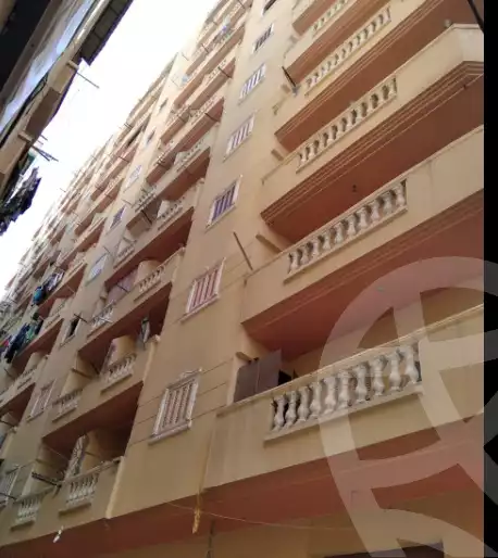 https://aqarmap.com.eg/ar/listing/4795544-for-sale-alexandria-el-hanouvel