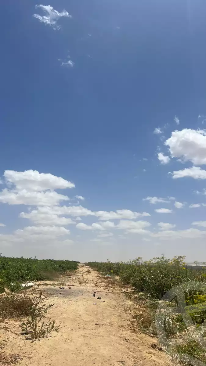 https://aqarmap.com.eg/en/listing/4859828-for-sale-beheira-wadi-el-natrun-bany-salama