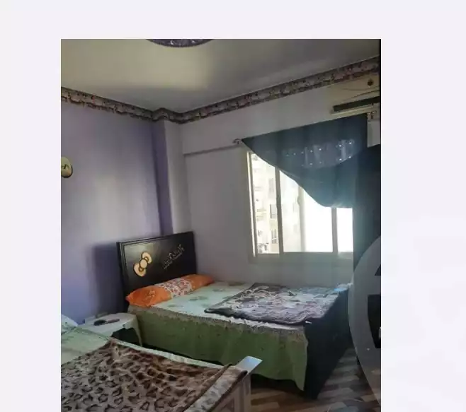 https://aqarmap.com.eg/en/listing/4888542-for-rent-cairo-badr-city