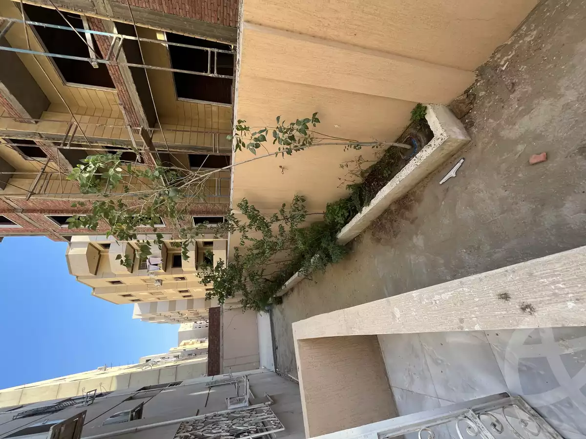 https://aqarmap.com.eg/en/listing/4994252-for-rent-cairo-new-cairo-el-lotus-lotus-north-lmntq-lwl-llwts-lshmly