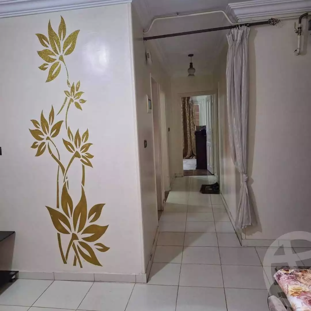 https://aqarmap.com.eg/ar/listing/5082554-for-rent-dakahlia-talkha-talkha-city-ahmed-maher-st