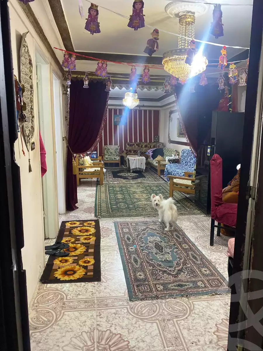 https://aqarmap.com.eg/en/listing/5087589-for-sale-alexandria-sydy-bshr-sydy-bshr-bhry-gamal-abd-el-nasir-st