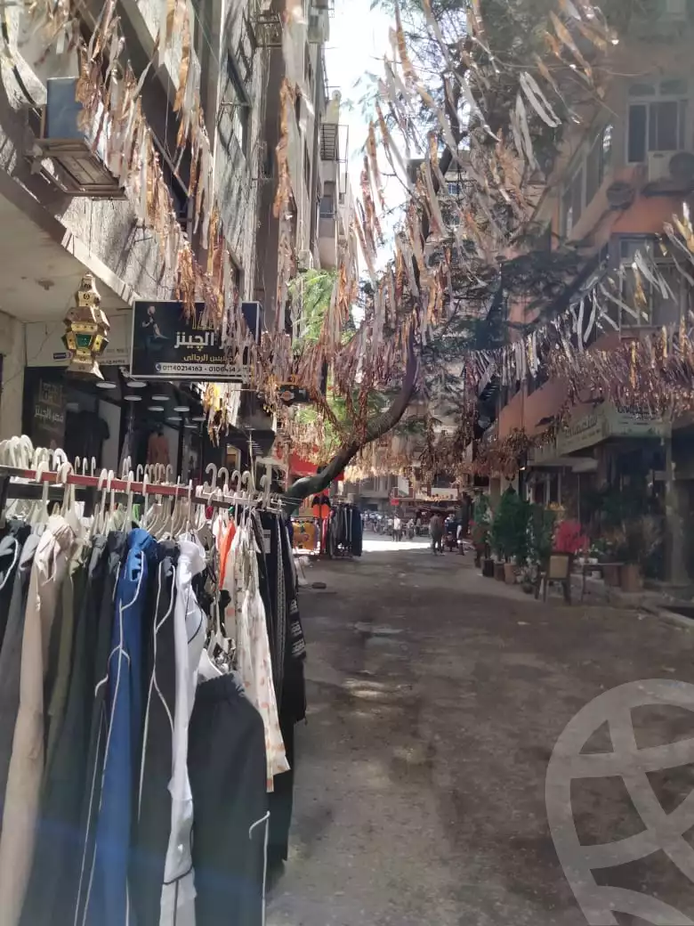 https://aqarmap.com.eg/en/listing/5808455-for-sale-cairo-faisal
