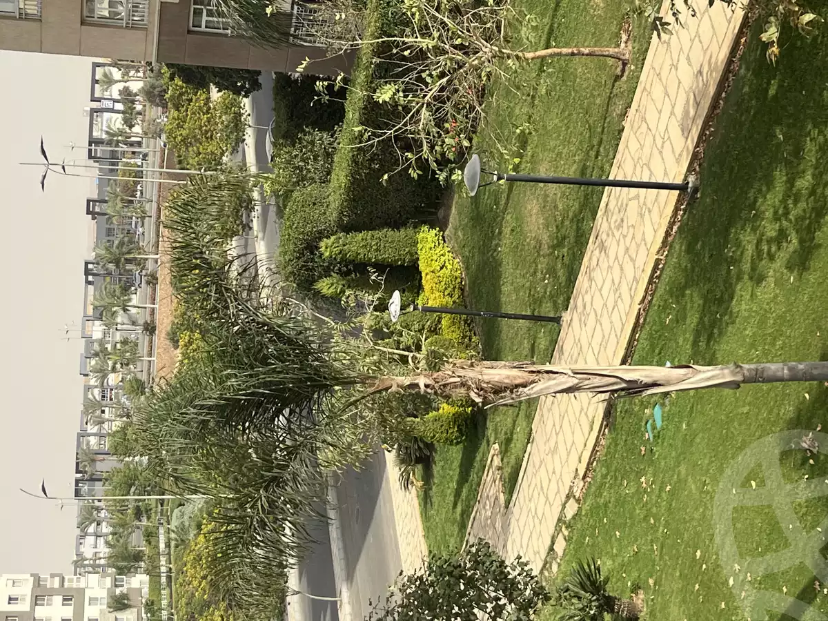 https://aqarmap.com.eg/en/listing/5216143-for-rent-cairo-new-cairo-madinaty-eleventh-zone-buildings-group-114