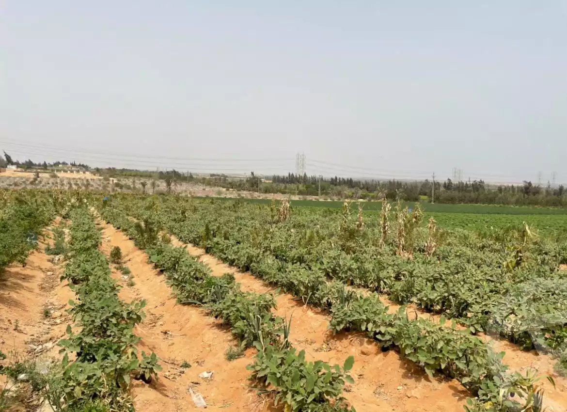 https://aqarmap.com.eg/en/listing/5226939-for-sale-cairo-el-sheikh-zayed-city-alex-cairo-desert-road-kmbwnd-fy-tryq-skndry-lshrwy