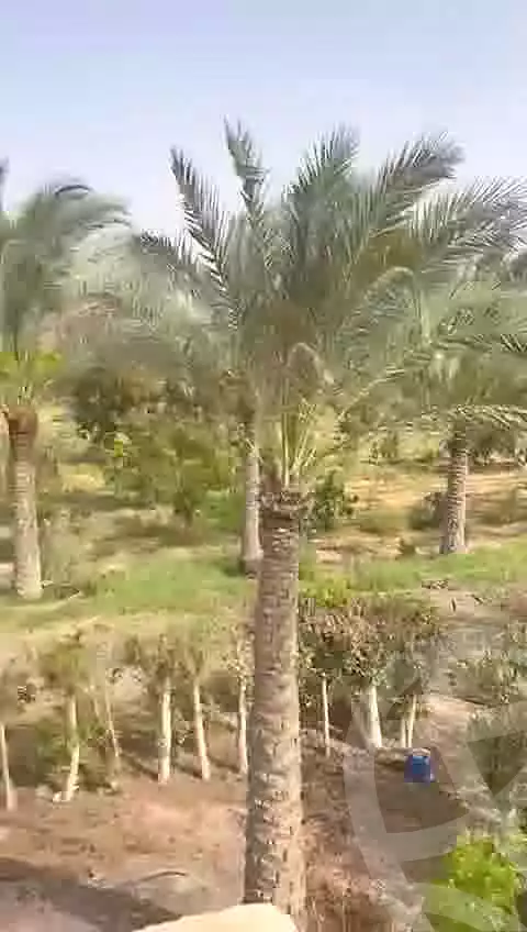 https://aqarmap.com.eg/en/listing/5227062-for-sale-alexandria-cairo-alexandria-desert-road