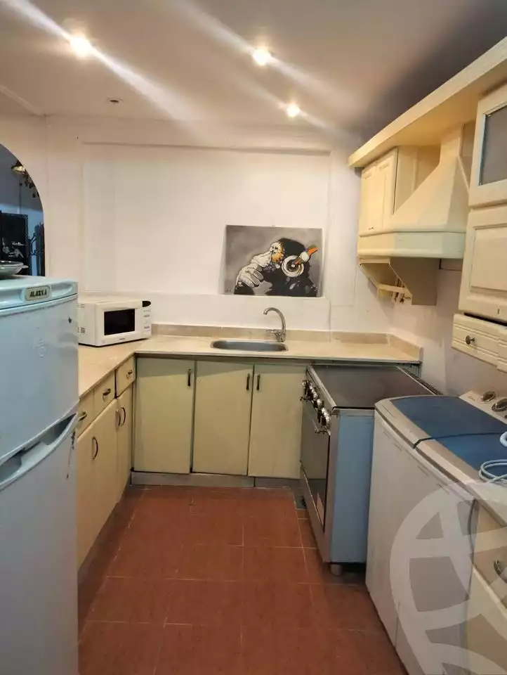 https://aqarmap.com.eg/en/listing/5240425-for-sale-cairo-al-zamalek-shr-sm-yl-mhmd