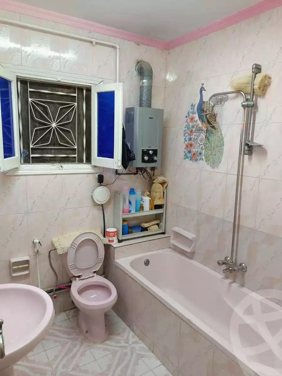 https://aqarmap.com.eg/en/listing/5272494-for-sale-cairo-ain-shams-yn-shms-lgrby