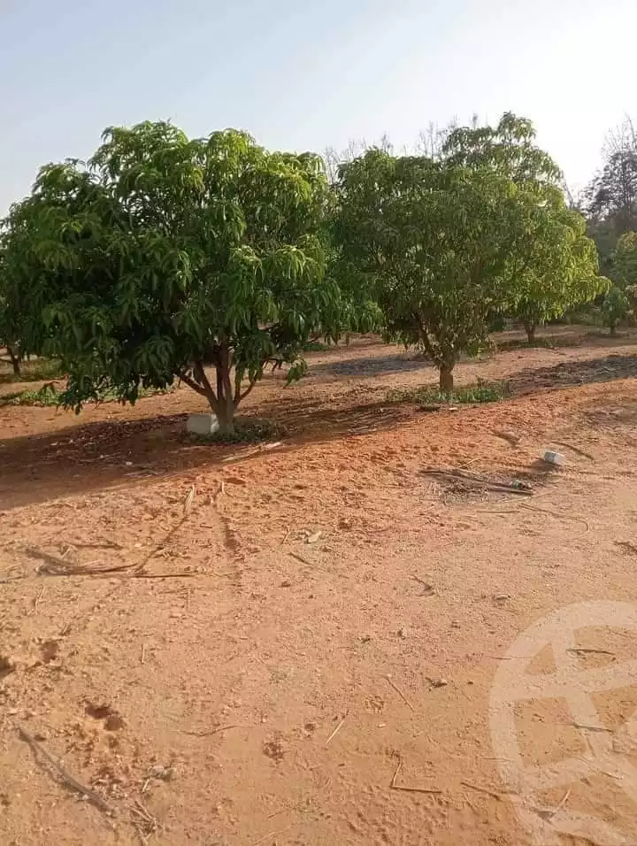 https://aqarmap.com.eg/en/listing/5280019-for-sale-cairo-other-neighborhoods-in-greater-cairo