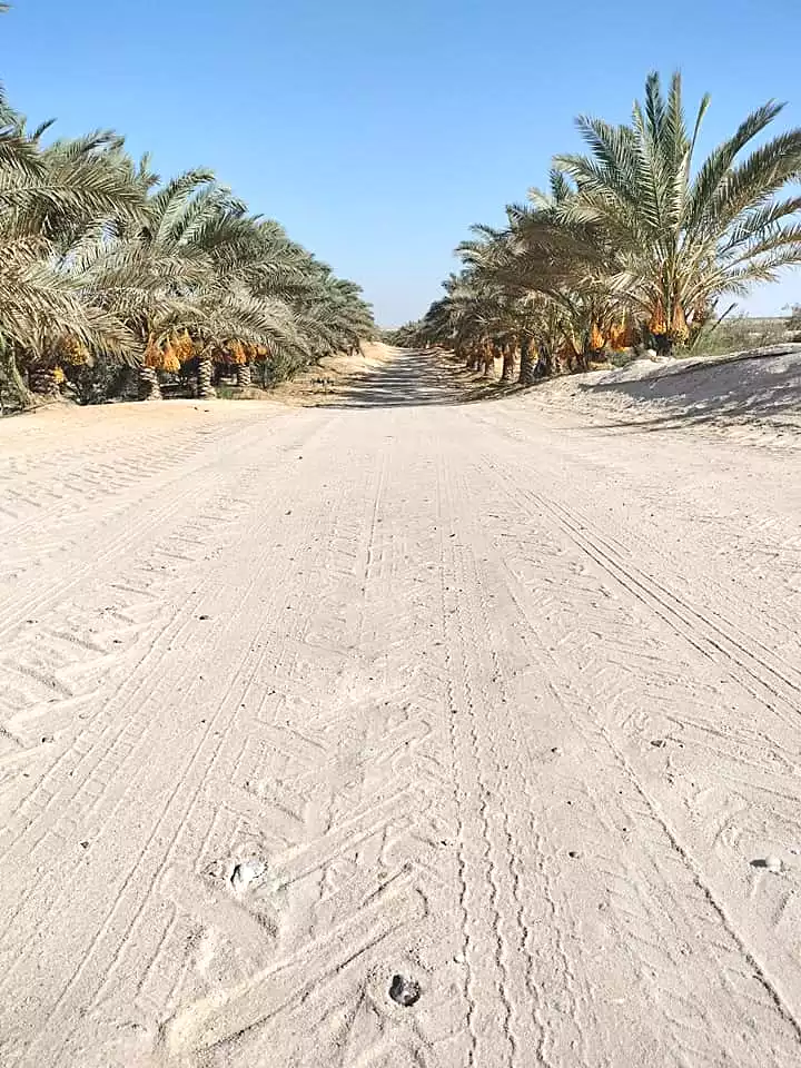 https://aqarmap.com.eg/en/listing/5284571-for-sale-beheira-wadi-el-natrun