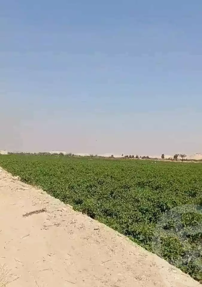 https://aqarmap.com.eg/ar/listing/5293023-for-sale-alexandria-cairo-alexandria-desert-road