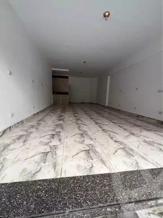 https://aqarmap.com.eg/en/listing/5295348-for-rent-alexandria-fleming-mostafa-kamel-st