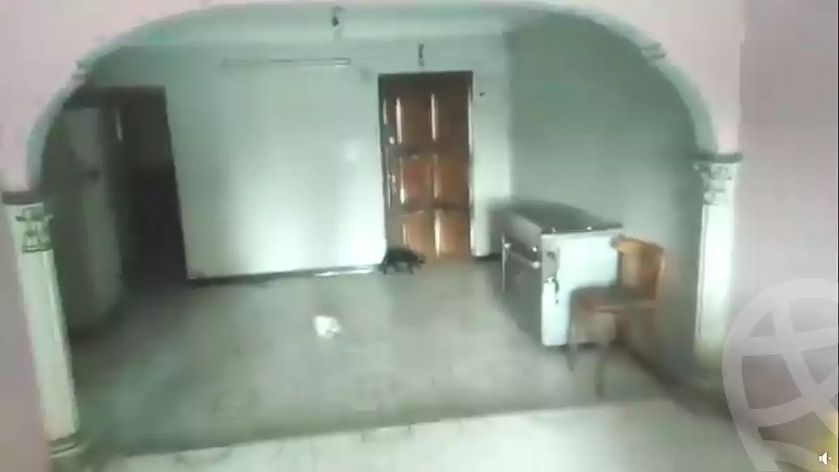 https://aqarmap.com.eg/en/listing/5297949-for-sale-cairo-ain-shams-ain-shams-el-sharkia