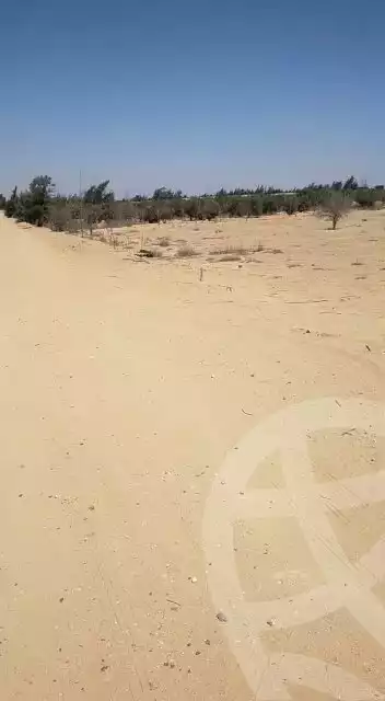 https://aqarmap.com.eg/en/listing/5317591-for-sale-cairo-el-sheikh-zayed-city-alex-cairo-desert-road-mntq-fr-y-btryq-skndryh-lshrwy