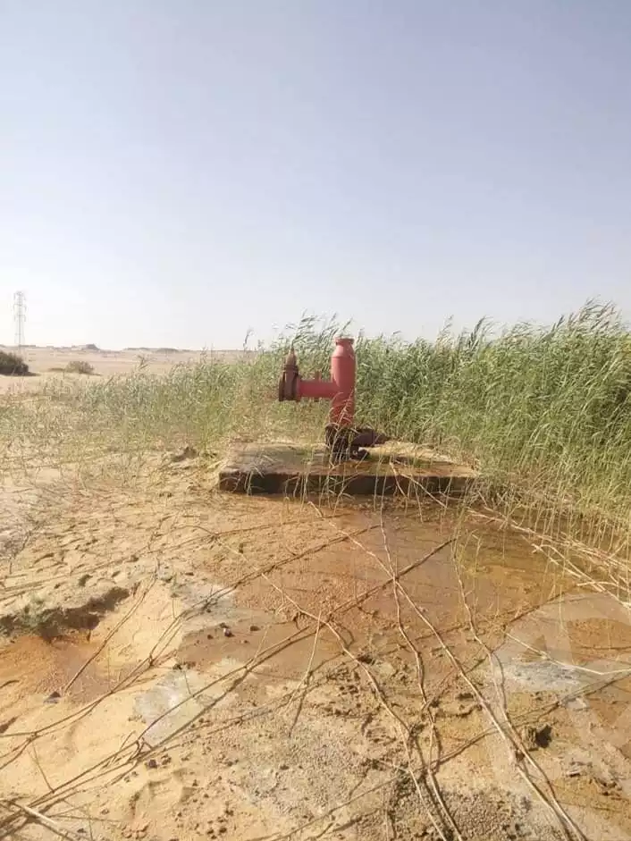 https://aqarmap.com.eg/en/listing/5318018-for-sale-cairo-ljyz-bahariya-oasis
