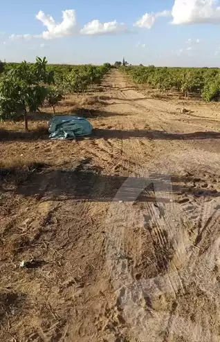 https://aqarmap.com.eg/en/listing/5323740-for-sale-beheira-wadi-el-natrun