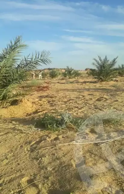 https://aqarmap.com.eg/ar/listing/5330215-for-sale-marsa-matruh-mntq-fr-y-bmrs-mtrwh