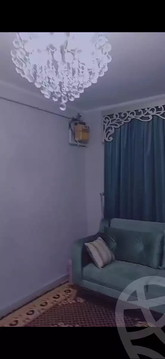 https://aqarmap.com.eg/en/listing/5335039-for-rent-cairo-el-amirya-abou-bakr-el-sedeek-st