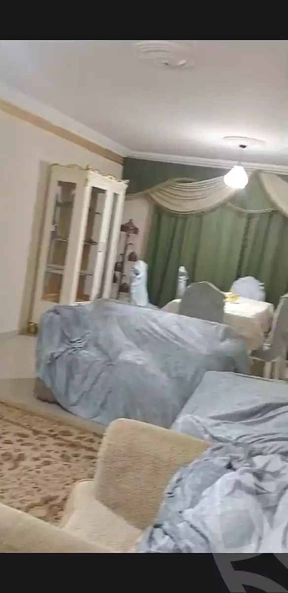 https://aqarmap.com.eg/en/listing/5335333-for-rent-cairo-nasr-city-9th-zone