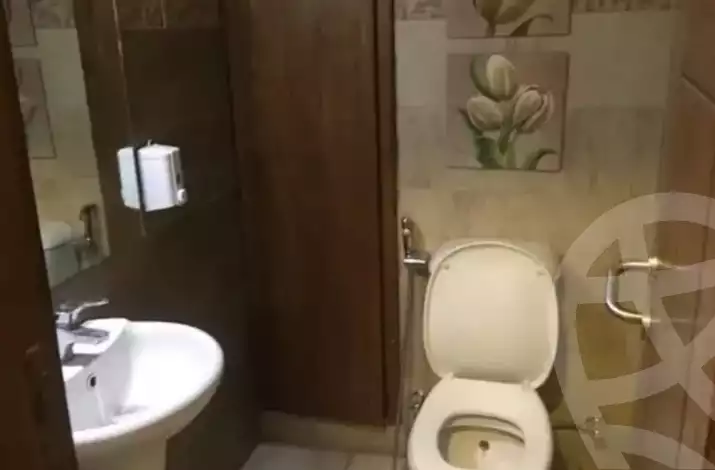 https://aqarmap.com.eg/en/listing/5338001-for-rent-cairo-dokki-mohey-el-din-abo-el-ezz