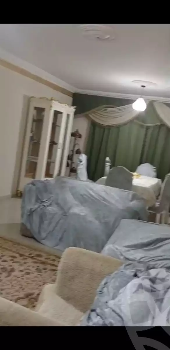 https://aqarmap.com.eg/en/listing/5339559-for-rent-cairo-nasr-city-9th-zone