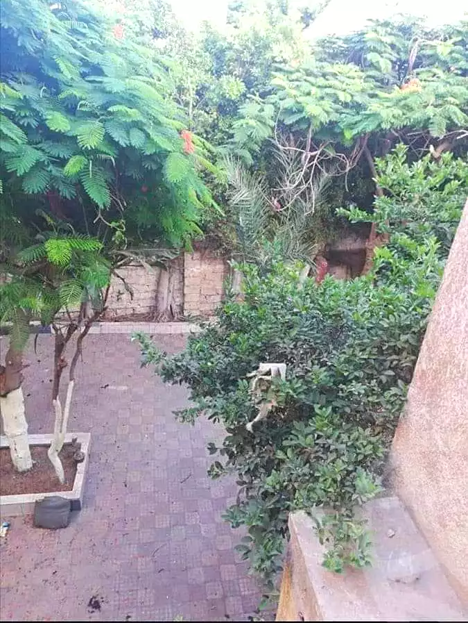 https://aqarmap.com.eg/ar/listing/5345716-for-sale-alexandria-l-jmy-lbytsh-shahr-al-assal-st