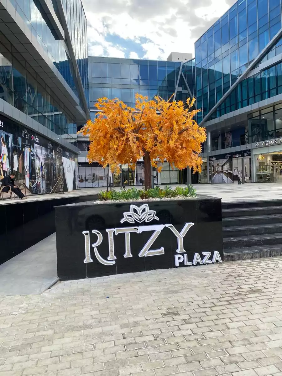 https://aqarmap.com.eg/en/listing/5357090-for-rent-cairo-el-sheikh-zayed-city-compounds-rytzy-blz-mwl-tybh-llstthmr-l-qry