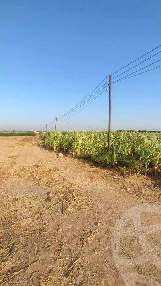 https://aqarmap.com.eg/ar/listing/5358426-for-sale-alexandria-cairo-alexandria-desert-road