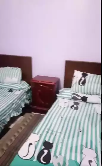 https://aqarmap.com.eg/en/listing/5362542-for-rent-alexandria-miami
