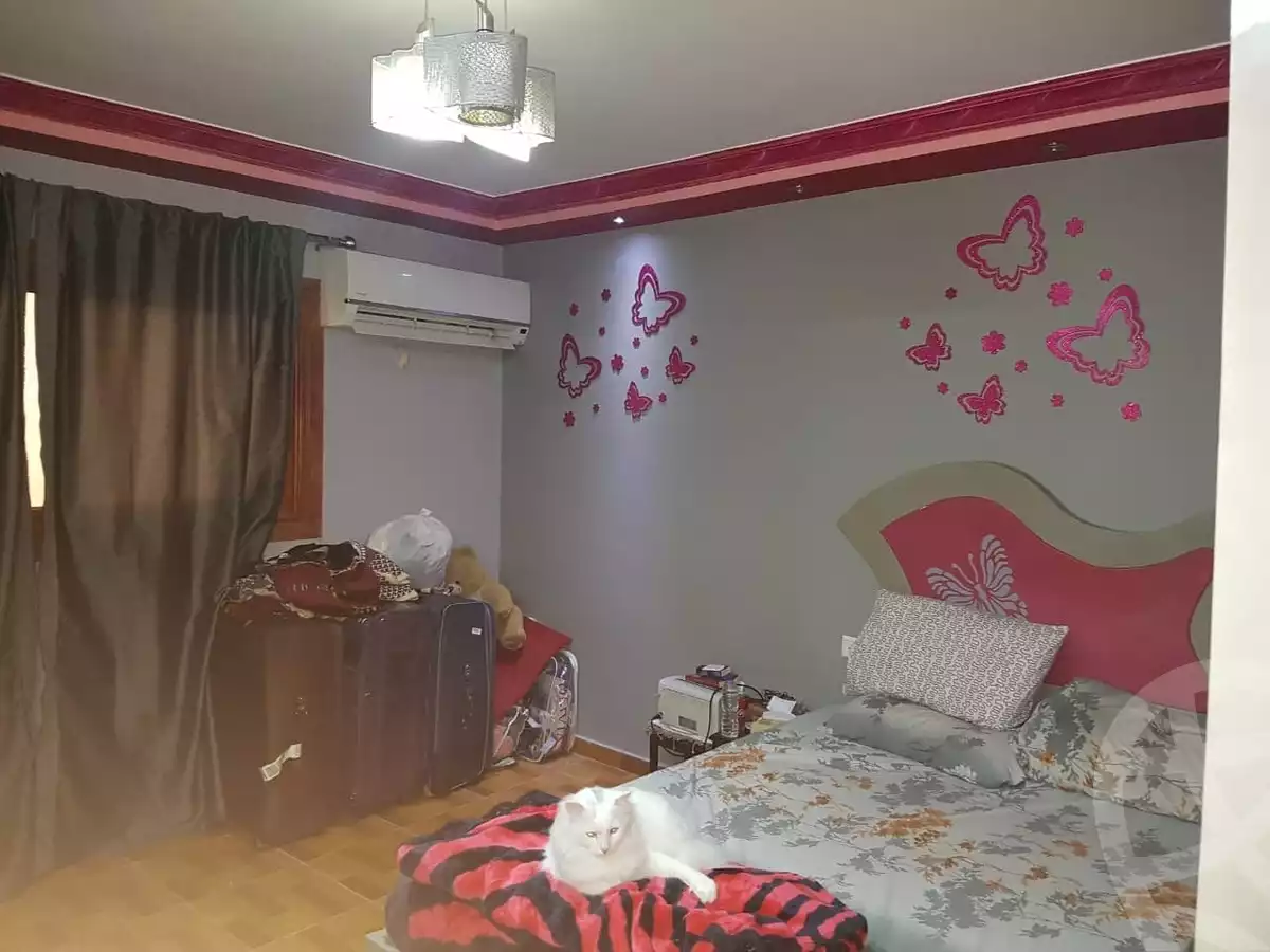 https://aqarmap.com.eg/en/listing/5364957-for-rent-cairo-nasr-city-zahraa-nasr-city