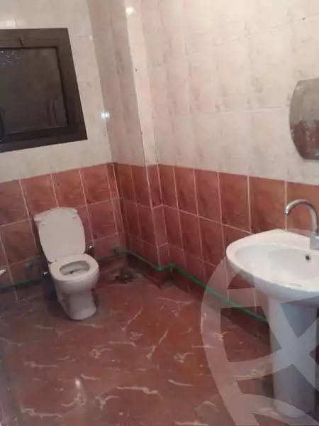 https://aqarmap.com.eg/en/listing/5366393-for-rent-cairo-faisal-shareaa-el-thalatheny