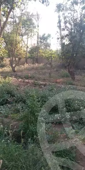 https://aqarmap.com.eg/en/listing/5367505-for-sale-cairo-el-mansuriyyah
