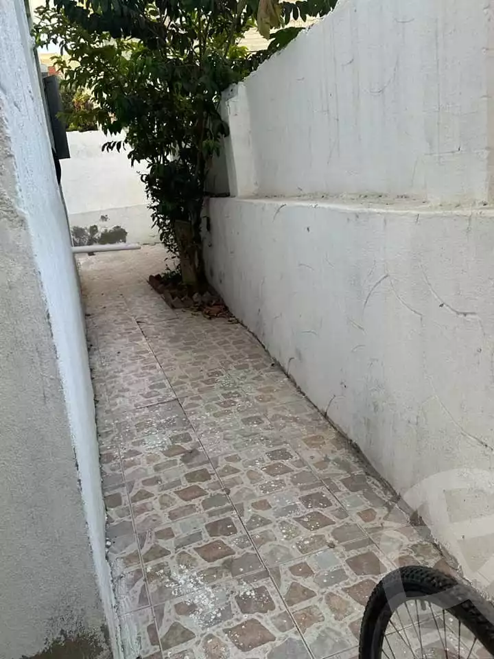https://aqarmap.com.eg/en/listing/5369244-for-sale-alexandria-l-jmy-lbytsh-al-aeda-al-kadema-st