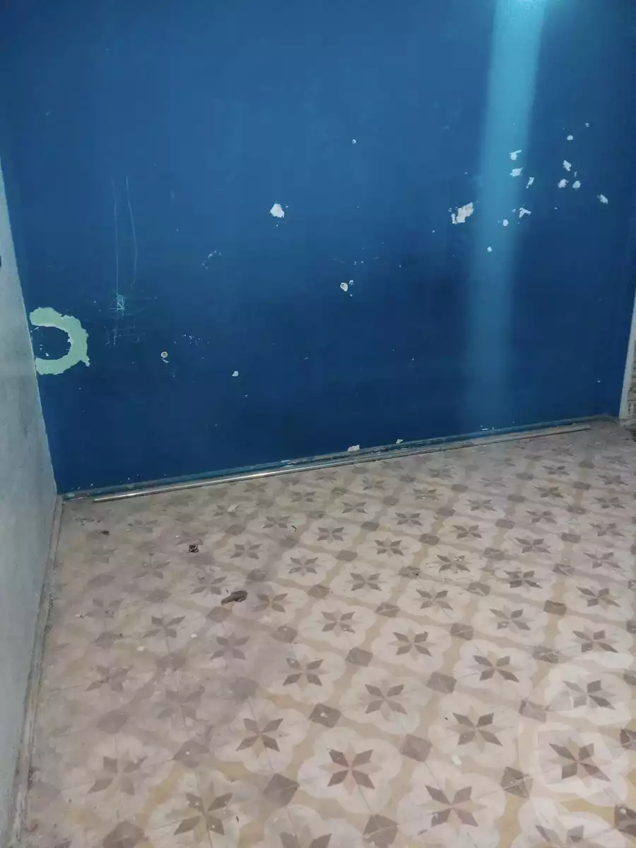 https://aqarmap.com.eg/en/listing/5371391-for-sale-cairo-el-marg-mohamed-nageb