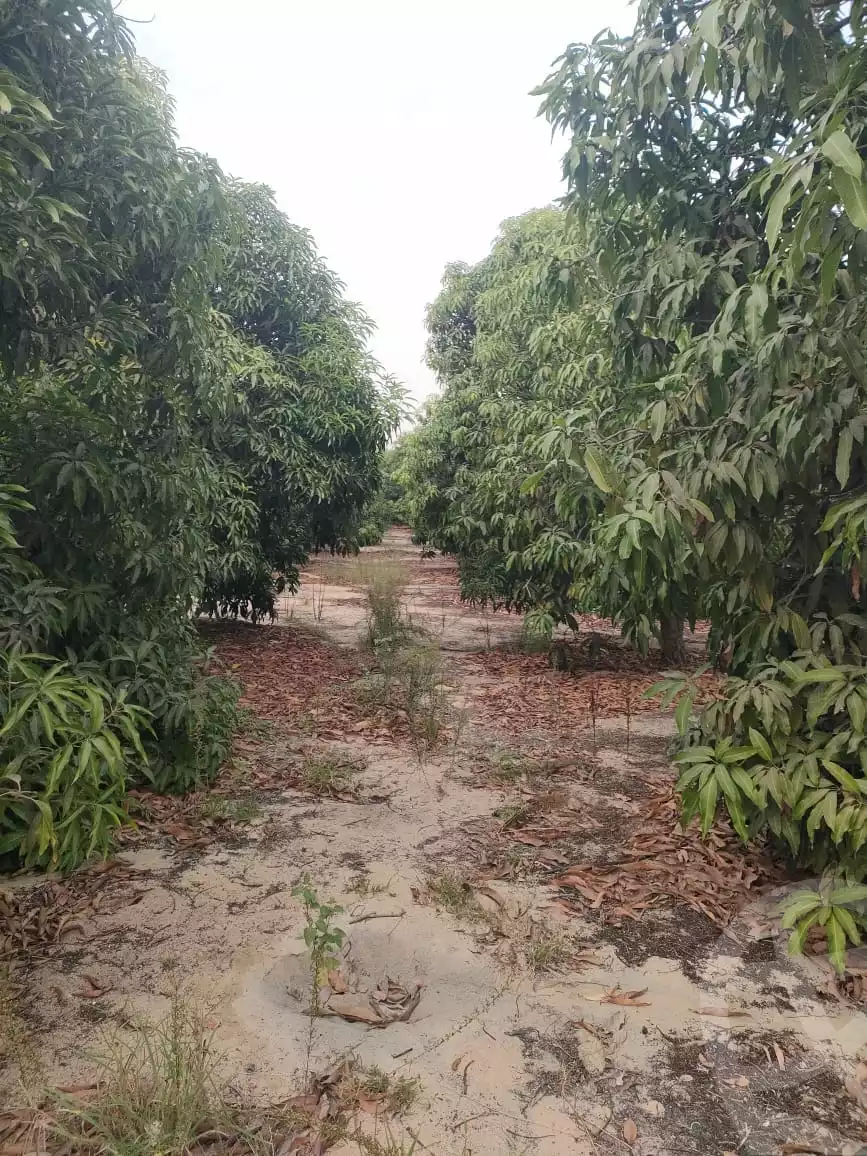 https://aqarmap.com.eg/en/listing/5373391-for-sale-ismailia-new-ismailia