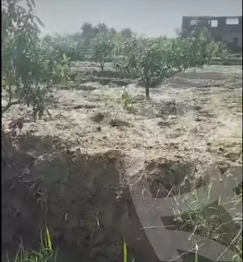 https://aqarmap.com.eg/en/listing/5385497-for-sale-dakahlia-mit-ghamr-mit-ghamr-city