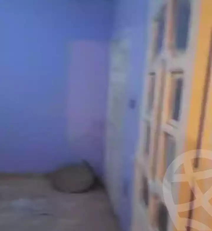 https://aqarmap.com.eg/en/listing/5390253-for-rent-cairo-faisal-el-maryotyah