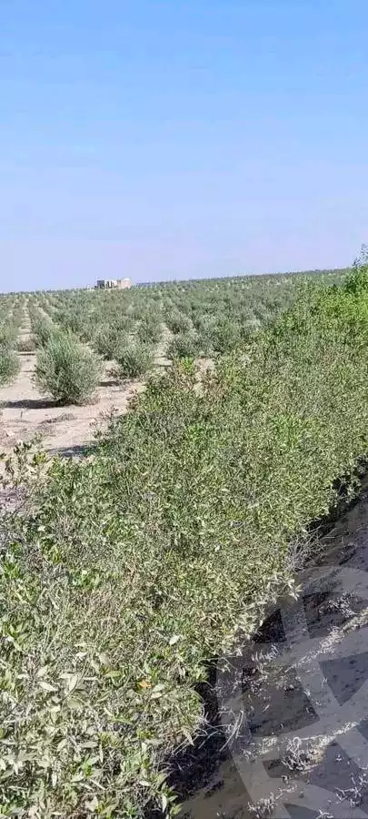 https://aqarmap.com.eg/en/listing/5391019-for-sale-alexandria-cairo-alexandria-desert-road