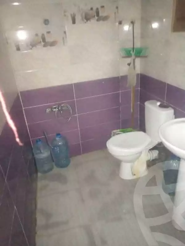 https://aqarmap.com.eg/ar/listing/5397826-for-rent-alexandria-l-jmy-lbytsh-el-hanafeya-st