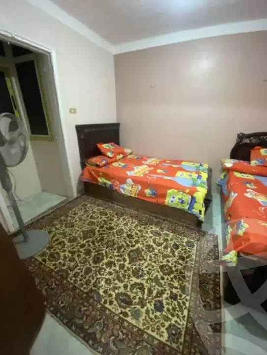 https://aqarmap.com.eg/ar/listing/5398013-for-rent-suez-suez-city-suez-city