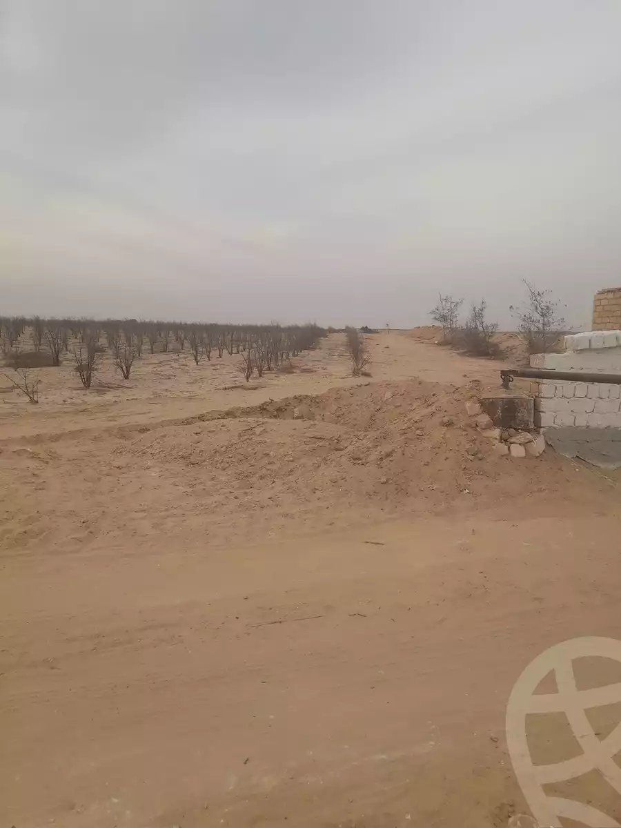 https://aqarmap.com.eg/ar/listing/5400203-for-sale-beheira-wadi-el-natrun