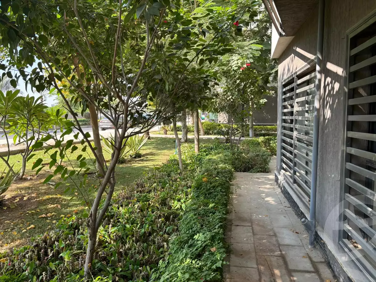 https://aqarmap.com.eg/en/listing/5412809-for-rent-cairo-new-cairo-madinaty-fifteenth-zone-buildings