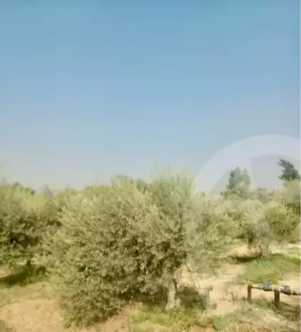 https://aqarmap.com.eg/en/listing/5414610-for-sale-beheira-wadi-el-natrun
