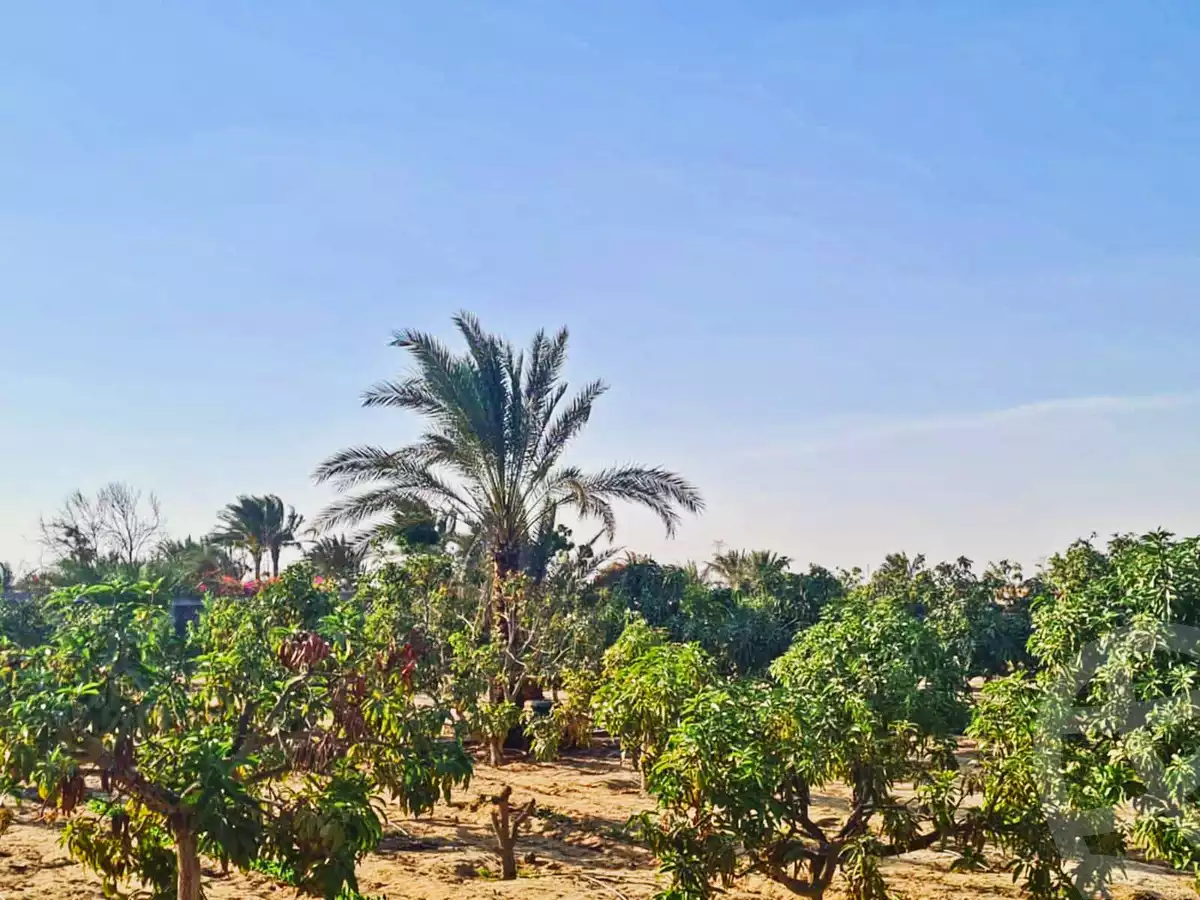 https://aqarmap.com.eg/en/listing/5418952-for-sale-cairo-al-zamalek