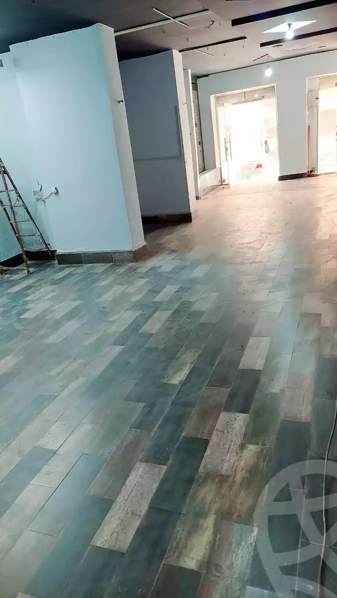 https://aqarmap.com.eg/en/listing/5419282-for-rent-cairo-el-maadi-zahraa-el-maadi-shamal-sinaa-street
