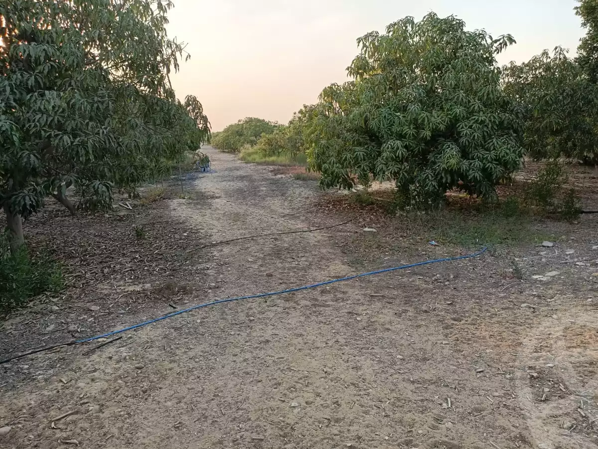 https://aqarmap.com.eg/en/listing/6080214-for-sale-cairo-al-oubour-jm-y-rby-kht-2-shml