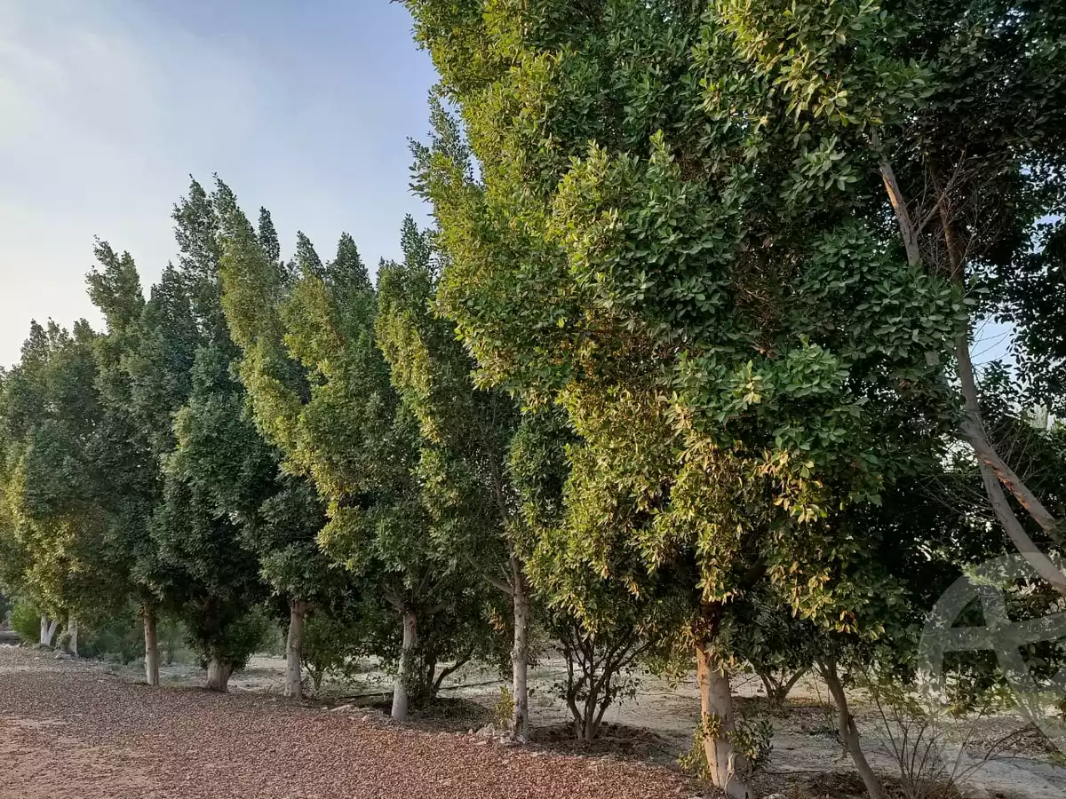 https://aqarmap.com.eg/en/listing/6080214-for-sale-cairo-al-oubour-jm-y-rby-kht-2-shml