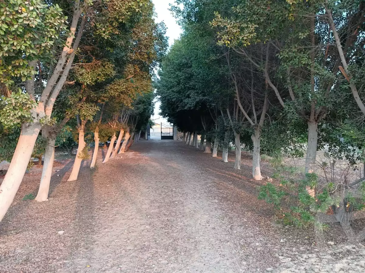 https://aqarmap.com.eg/en/listing/6080214-for-sale-cairo-al-oubour-jm-y-rby-kht-2-shml